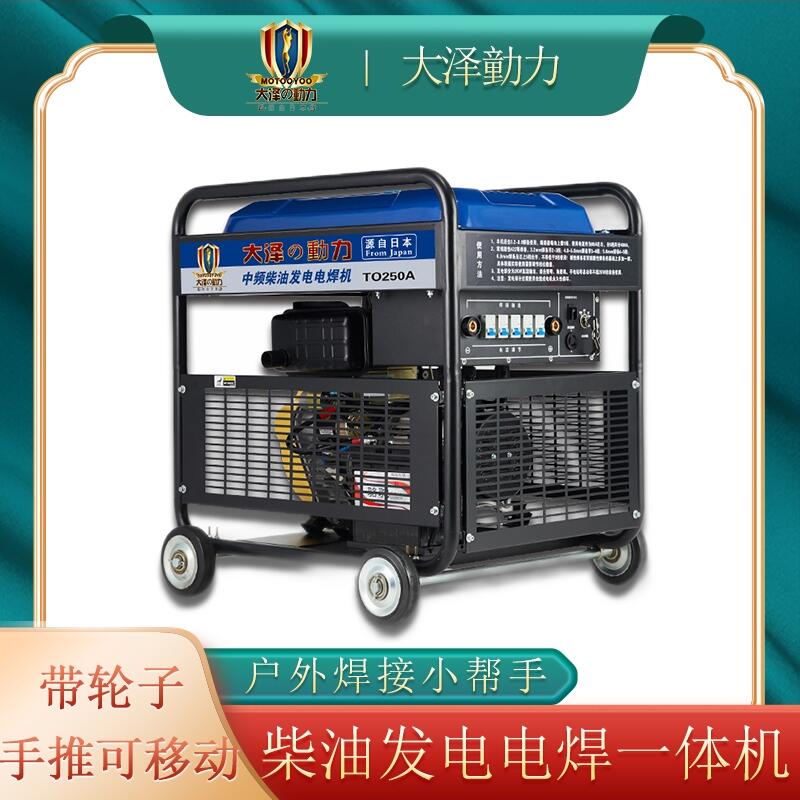 輕便小型250A車上用發(fā)電電焊機(jī)