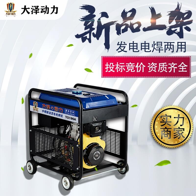 大澤動力190A便攜式發(fā)電電焊機(jī)