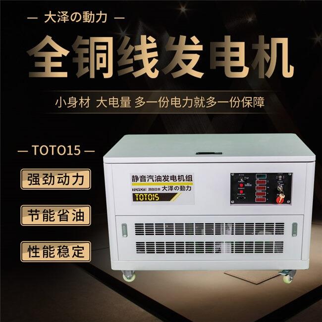 大澤動力15KW汽油發(fā)電機TOTO15