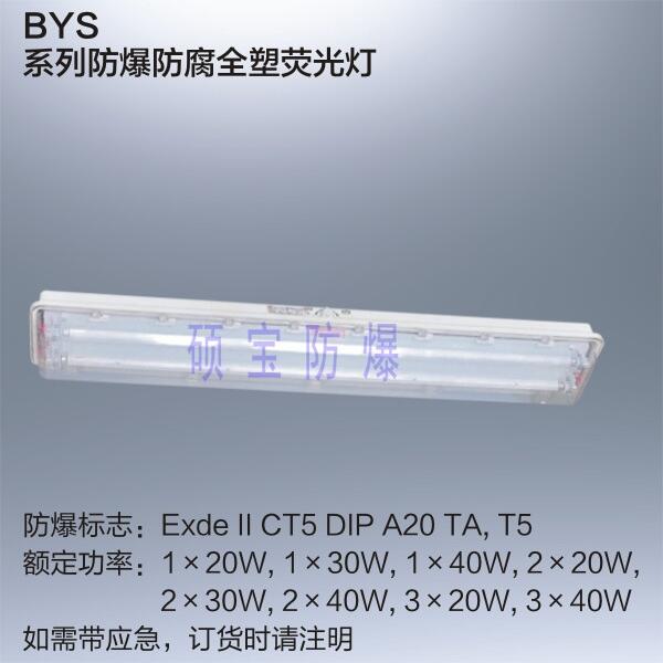 吸頂式BYSLED防爆雙管燈 防爆防腐全塑熒光燈