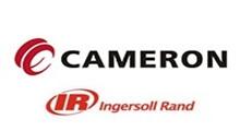 美國Cameron-Ingersoll-Rand（卡麥?。└飨盗挟a品