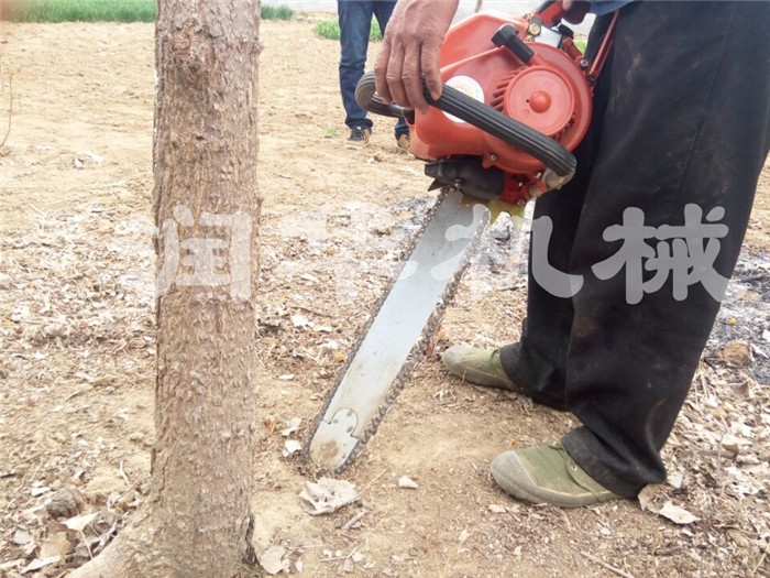 大直徑土球挖樹機(jī) 幼樹苗斷根機(jī) 鏟樹球挖樹機(jī)