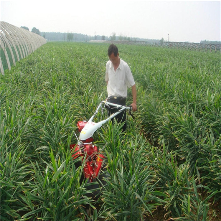 新聞:延津水稻田耕地機(jī)價格實惠