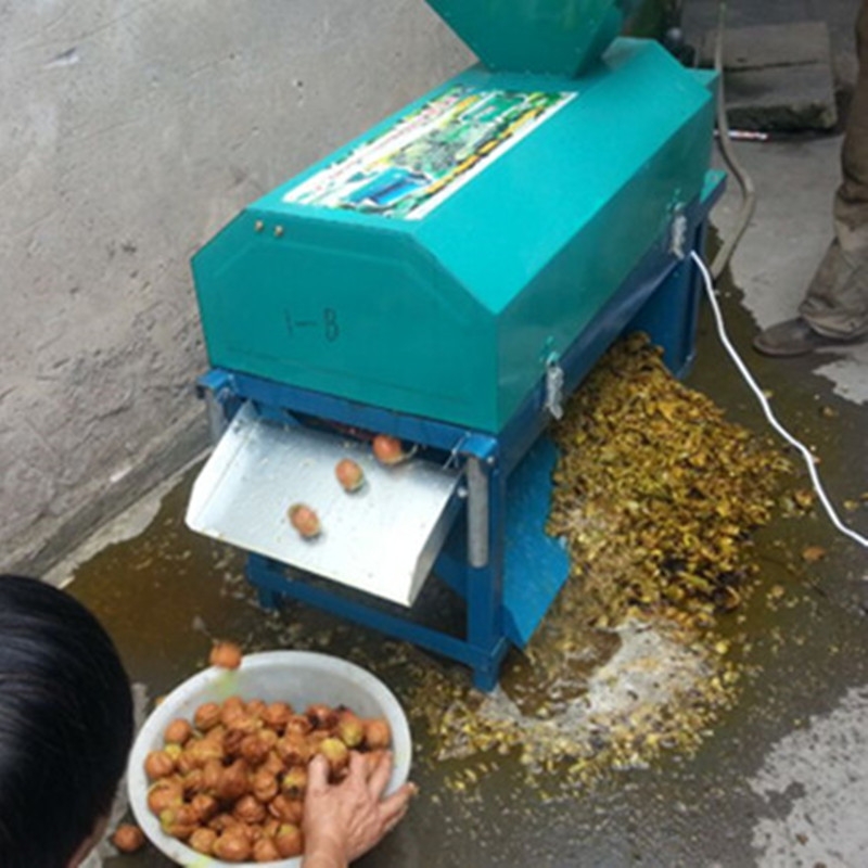 圣魯鮮核桃剝殼機(jī) 核桃去皮清洗機(jī)