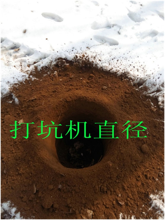 電線桿打眼機(jī)汽油大功率植樹(shù)挖洞機(jī) 生產(chǎn)工廠