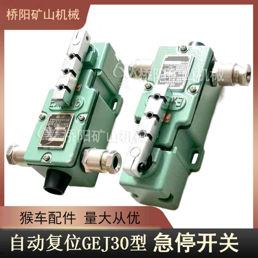 GEJ30型自動(dòng)急停開(kāi)關(guān) 猴車保護(hù)裝置