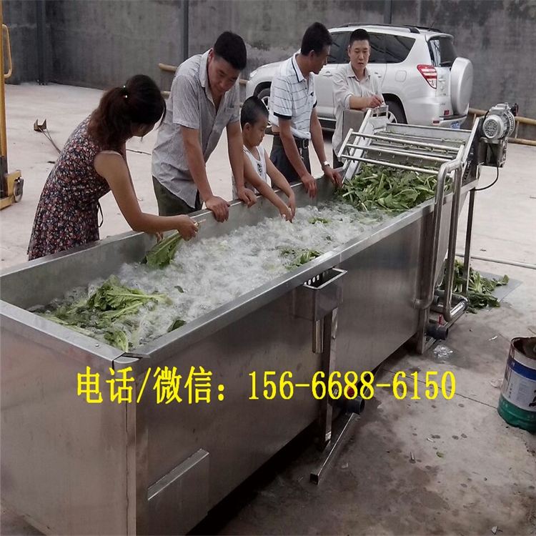 高壓噴淋清洗機 萵苣鼓泡清洗機