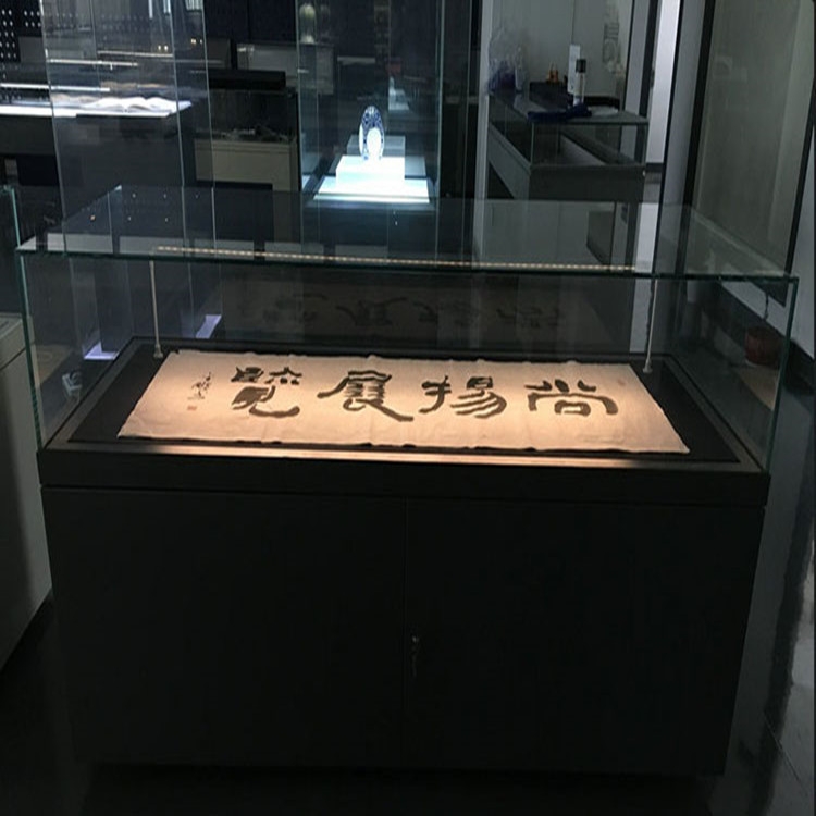 博物館展示柜字畫古董平柜展覽柜-隆城博具