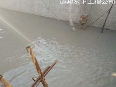 資陽市污水廠水下安裝維修-期待與你合作