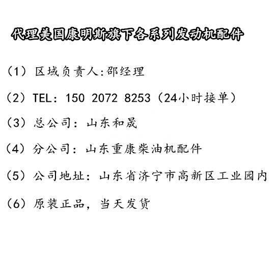 ISLE/噴油器4940640徐工祺龍系列