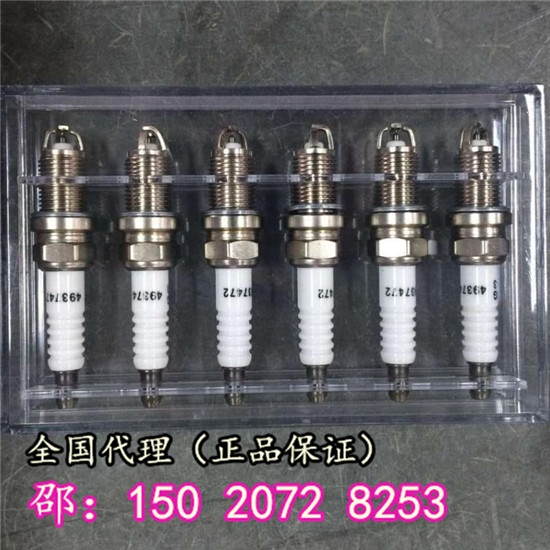 QSC8.3發(fā)動(dòng)機(jī)整機(jī)（全國聯(lián)保）火花塞4924504