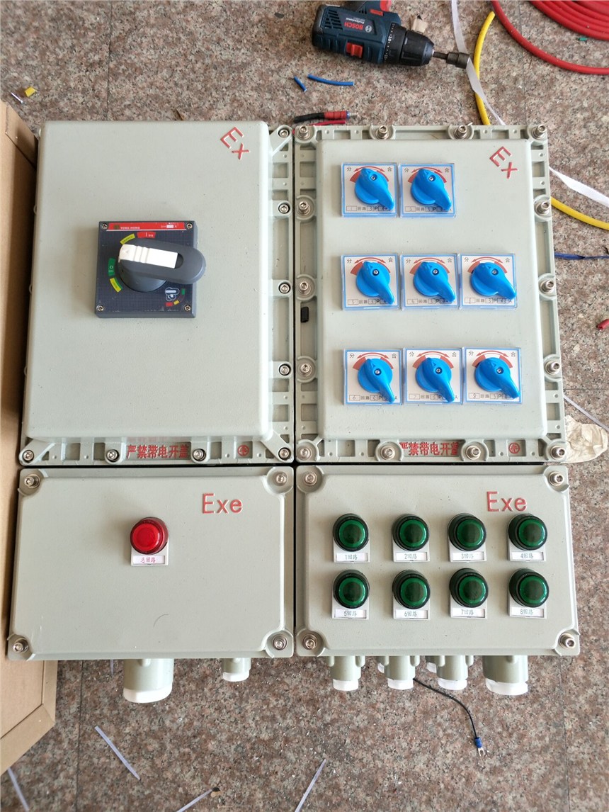 BXD51-10/12K防爆動(dòng)力配電箱