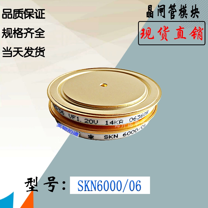 SKN6000/04 SKN6000/06全新庫(kù)存直銷(xiāo)西門(mén)康晶閘管