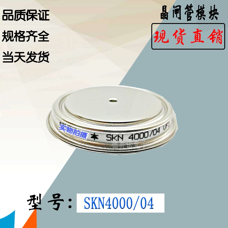 SKN4000/02 SKN4000/04全新庫存直銷西門康功率晶閘管模塊