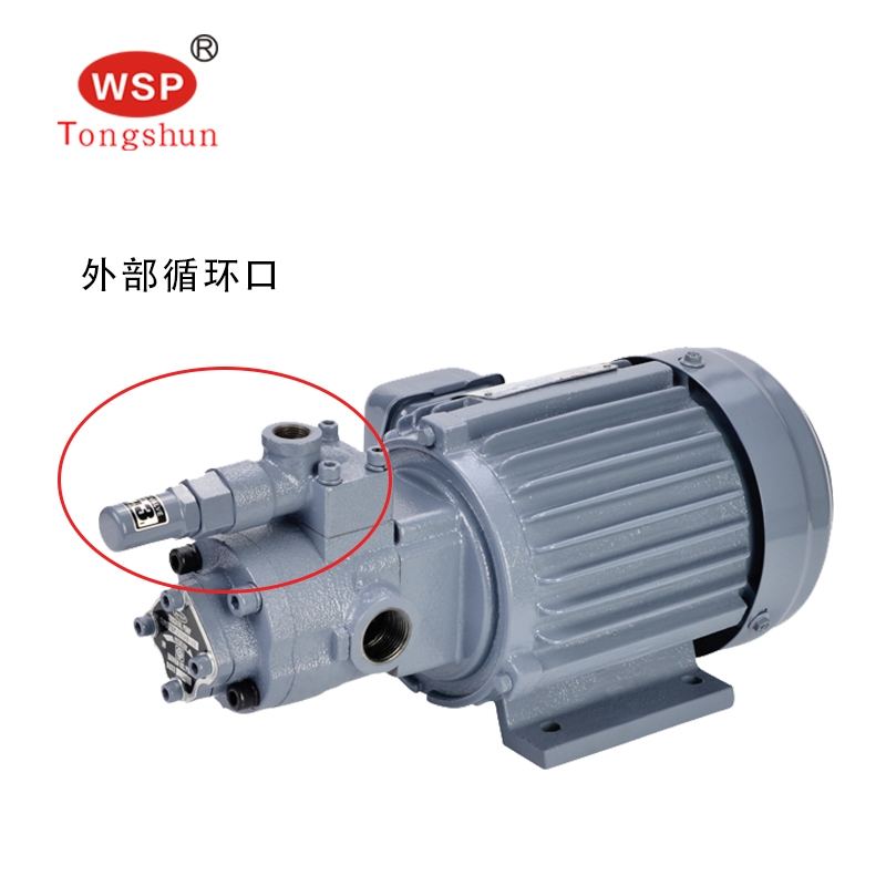 供應(yīng)WSP潤(rùn)滑電機(jī)油泵組螺絲 機(jī)用 TOP-203HB-VB+750W臺(tái)灣電機(jī)精工制造