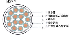 天聯(lián)牌控制電纜KVVP電纜屏蔽電纜