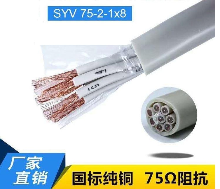 甘肅SYV-75-2-1*8天聯(lián)牌電線電纜生產(chǎn)廠家