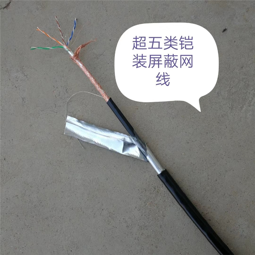 重慶DYJV-5KV 1*6 五千伏機(jī)場燈光線天聯(lián)品牌生產(chǎn)廠家