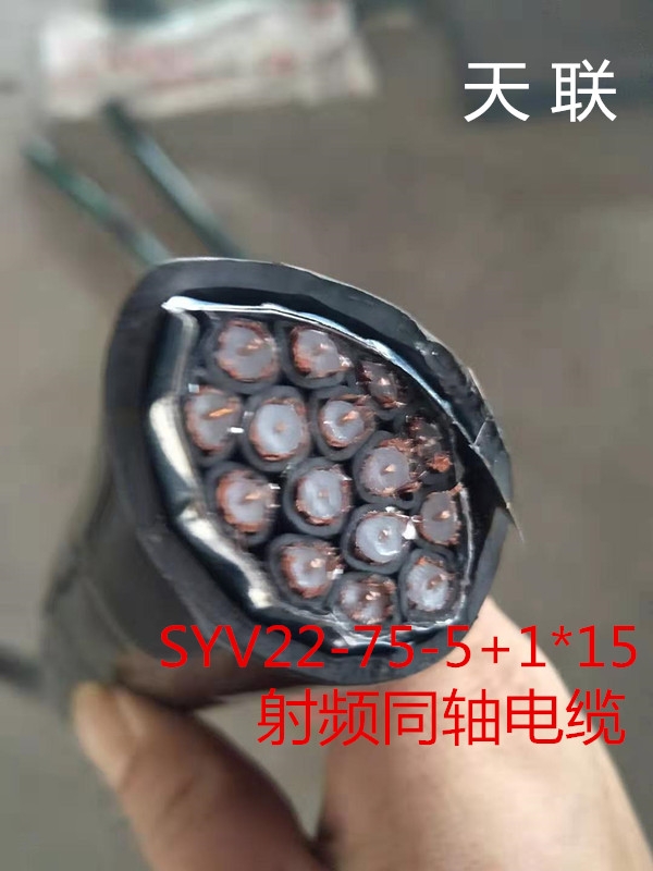 廣東射頻同軸電纜SYV/SYV22-75-9一米含稅價(jià)