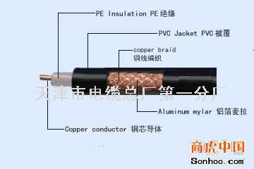 廠家直銷天聯(lián)牌至榆林市計算機電纜DJYPV22  19*2*1.5