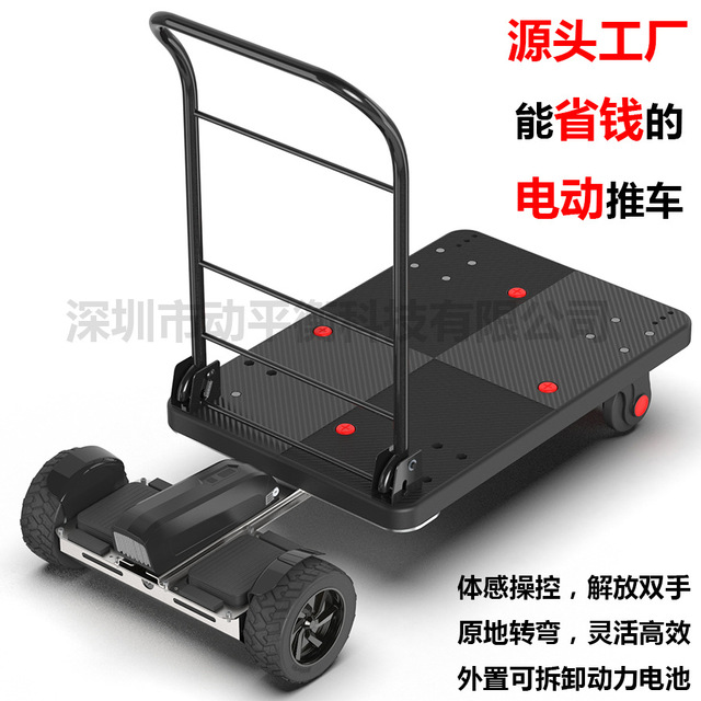 寧國(guó)電動(dòng)撿球機(jī)電動(dòng)工具車_攀枝花小動(dòng)體感推車-客戶至上-南京特蕾莎