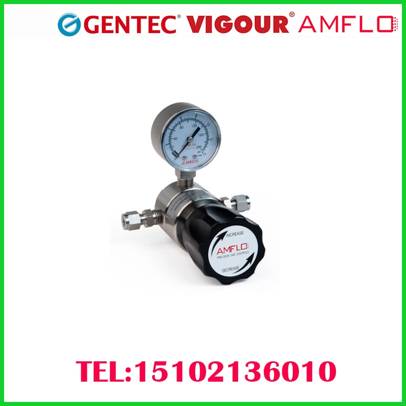 供應GENTEC/VIGOUR/AMFLO/GCE不銹鋼316L氣體減壓閥減壓器