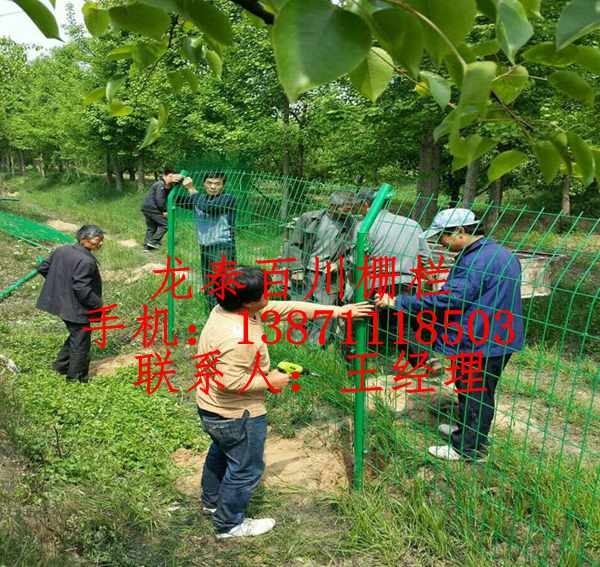 棗陽(yáng)市果園種植隔離網(wǎng) 襄陽(yáng)圍山鋼絲圍網(wǎng)批發(fā)價(jià)格多少錢(qián)一米