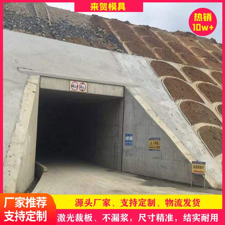 地下綜合管廊模具 來賀 綜合管廊模具 預(yù)制管廊鋼模具 地下雙艙管廊模具 供應(yīng)廠家