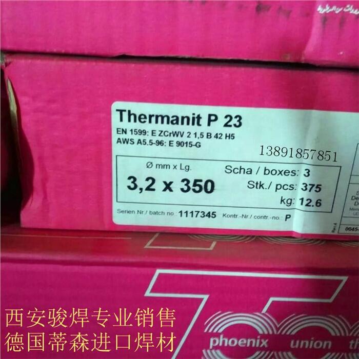 ɭThermanit P23lE9018-Gl T23P23l