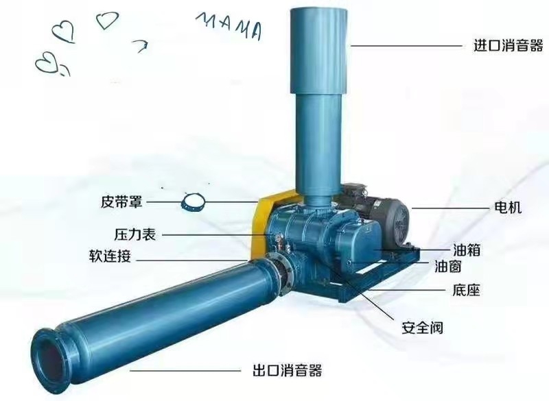 羅茨鼓風(fēng)機(jī)