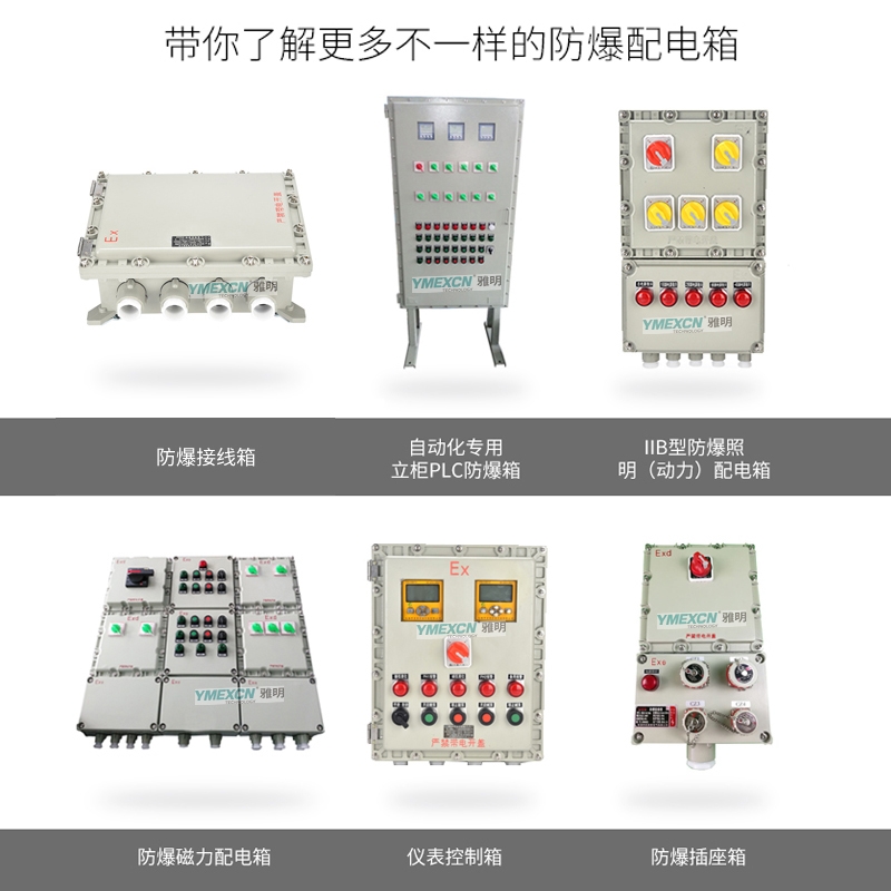 化工廠BXMD51系列防爆照明動(dòng)力配電箱IIB/IIC隔爆箱