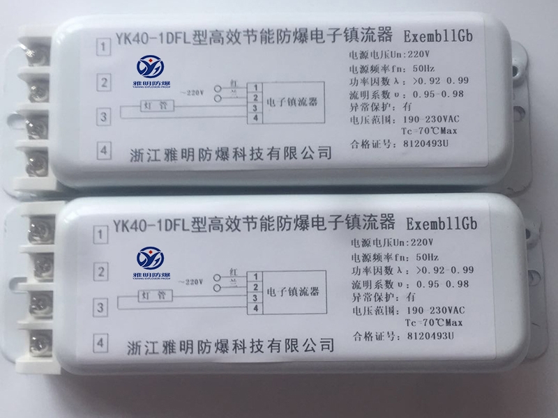 廠家直銷110V、220VYK40-1DFL防爆電子鎮(zhèn)流器