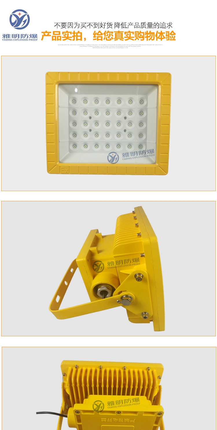 冷庫100WLED防爆投光燈 100W高效節(jié)能防爆LED燈