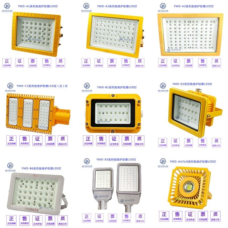 LED防爆投光燈 加油站煤礦化工廠100W200W防爆LED燈壁裝吸頂?shù)跹b燈