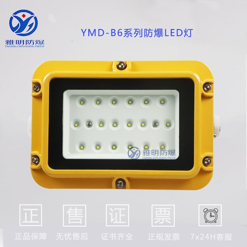 LED防爆投光燈30W40W50W60W工廠車間倉庫防爆LED燈