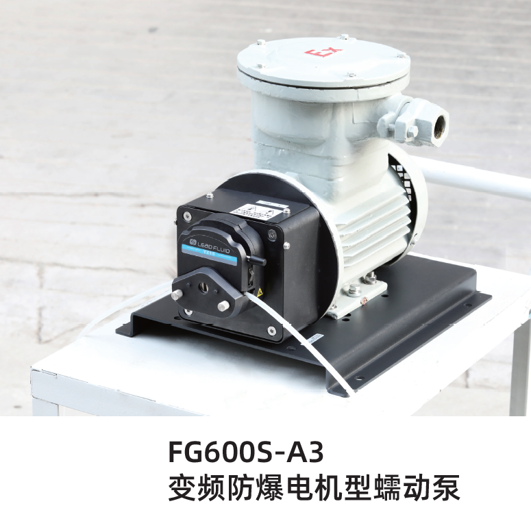 雷弗FG600S-A3變頻防爆電機型蠕動泵