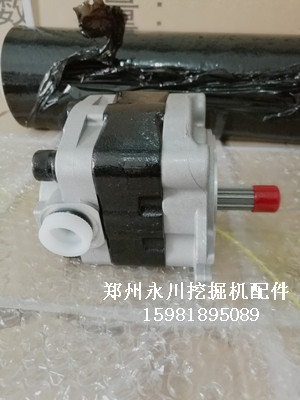 卡特重工CT40齒輪泵 先導(dǎo)泵P3P4泵 搖擺鄭州永川挖掘機(jī)配件