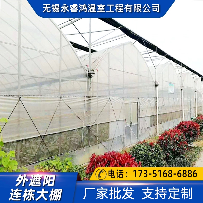 果樹種植溫室大棚廠家支持定制