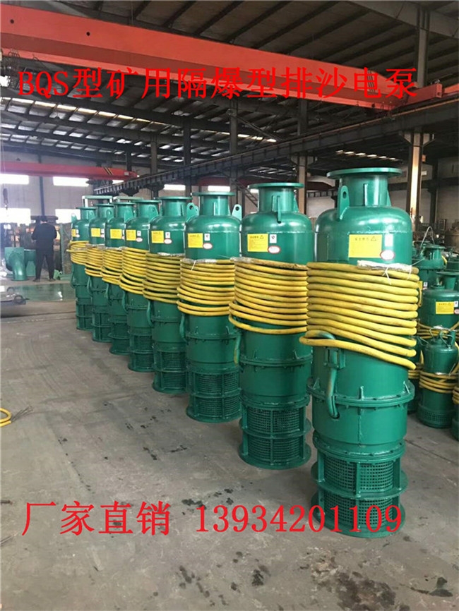 六安池州BQS60-80-30  排污排沙BQS潛水電泵