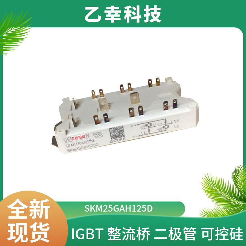 西門康IGBT模塊SKM25GAH125D