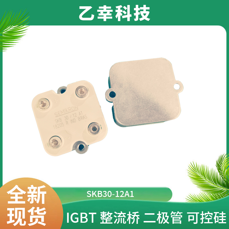 西門康IGBT功率模塊SKT24/18E