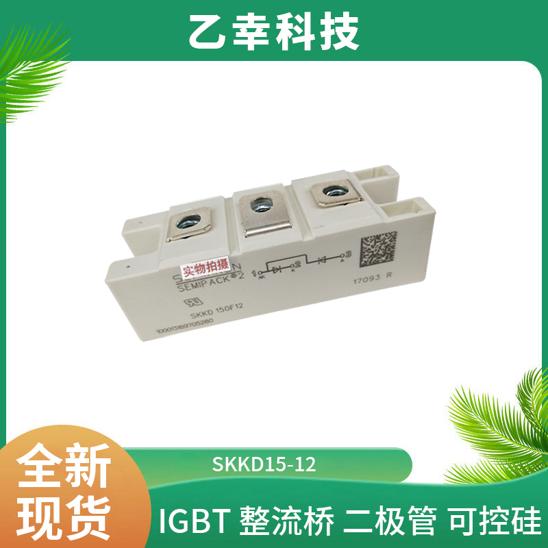 西門康IGBT功率模塊SKB30/08A1