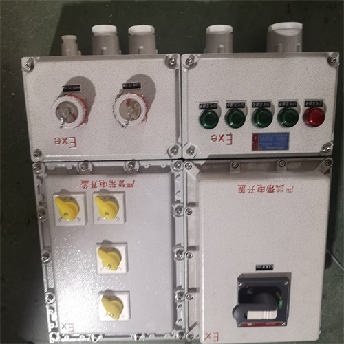 BXS系列防爆檢修電源插座箱 5回路