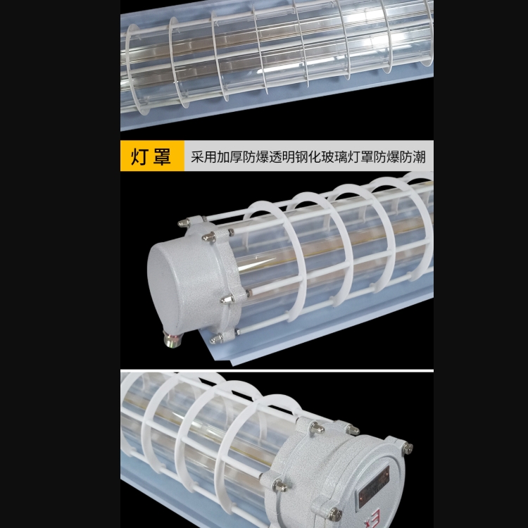 BAY52隔爆型應(yīng)急防爆節(jié)能熒光燈