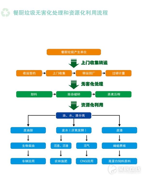 優(yōu)質(zhì)茶葉建設(shè)可行性報(bào)告2023編制大綱