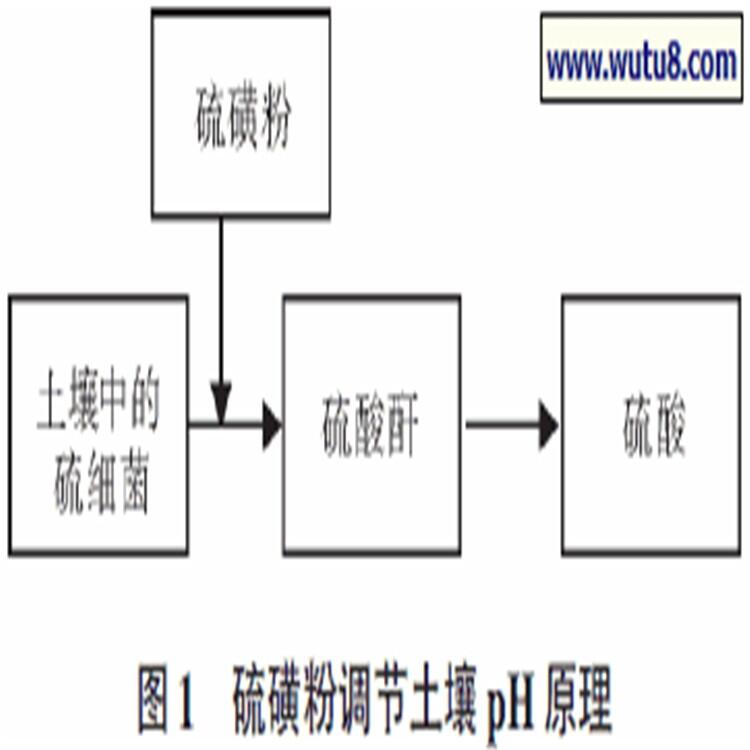 長期供應土壤改良調節(jié)劑硫磺粉規(guī)格齊全 歡迎選購