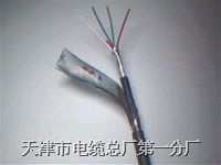 電子計算機用屏蔽電纜DJYP3VP3電子計算機用屏蔽電纜DJYP3VP3