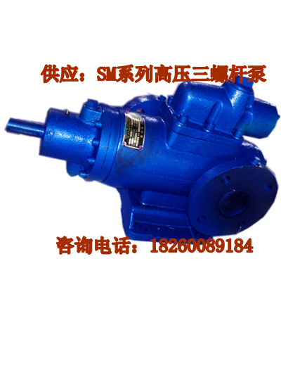 SMSN德國技術(shù)SMH80R42E6.7W23水泥廠熱電廠點(diǎn)火油泵