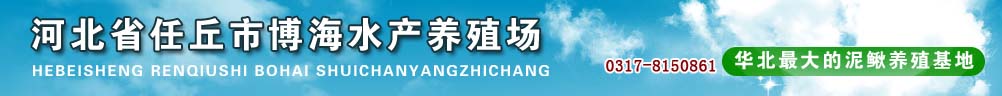 文安博海水產(chǎn)養(yǎng)殖場供應(yīng)泥鰍魚苗