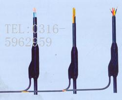 分支電纜 廠家 型號(hào) 規(guī)格 價(jià)格